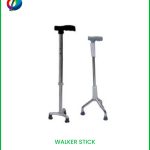Walker Stick
